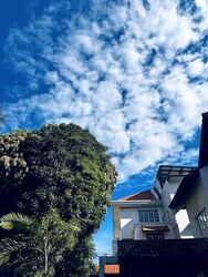 Palm Avenue (D15), Detached #561627841